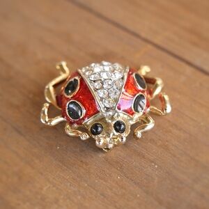 Ladybug Brooch
